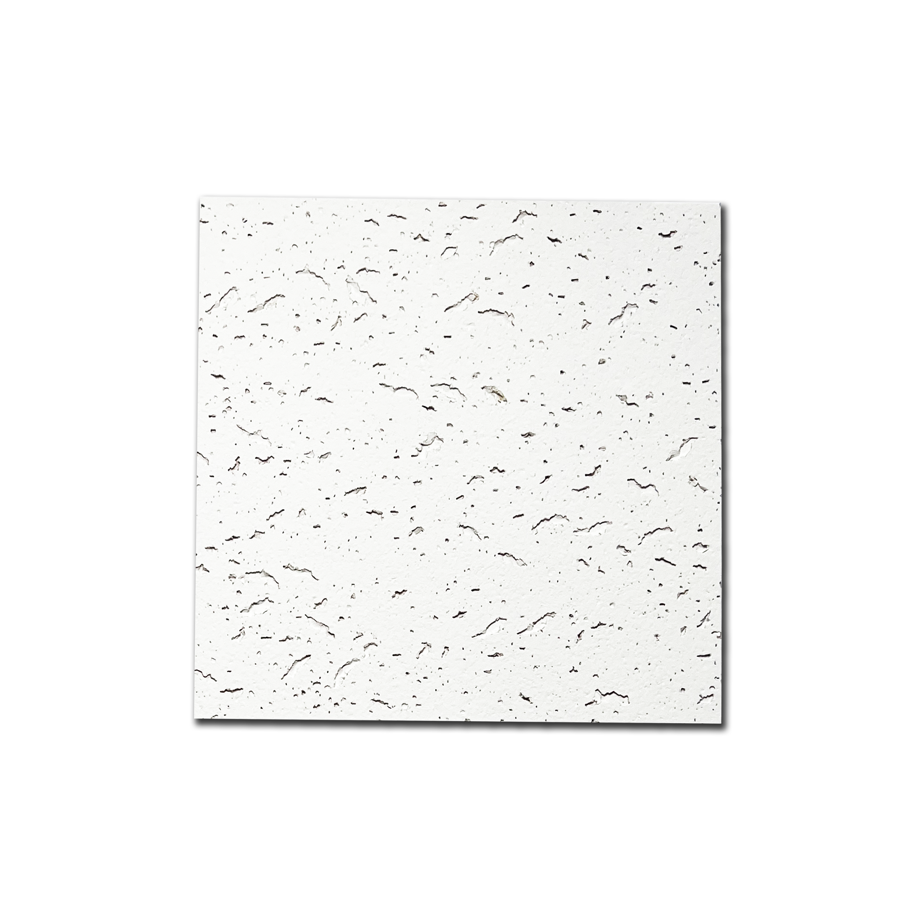 마이톤 M바 12T 600x600